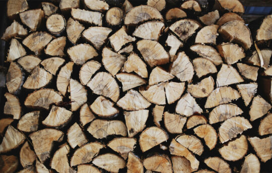 Stacked firewood logs