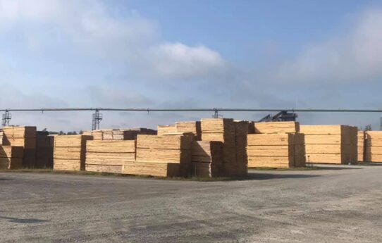 67402838_880190139021251_7878547944603910144_n